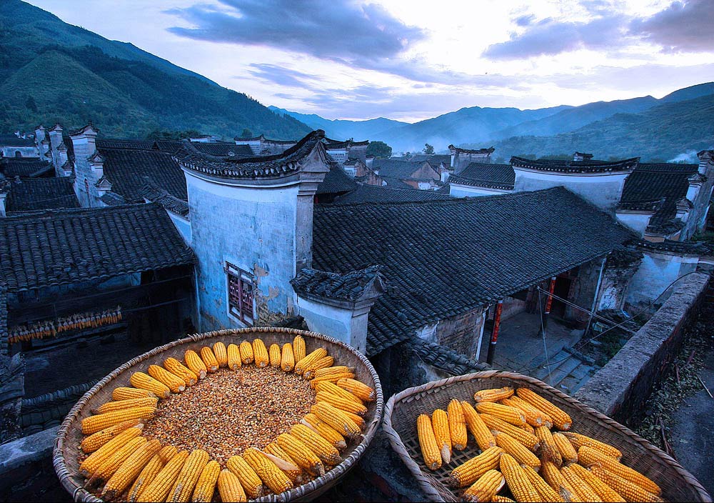 周家大院