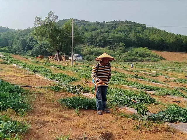 图片4.png 图片4.png