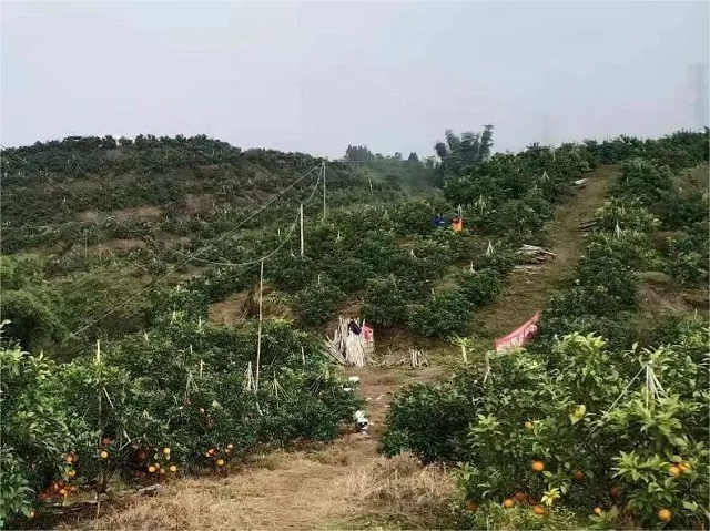 图片3.png 图片3.png