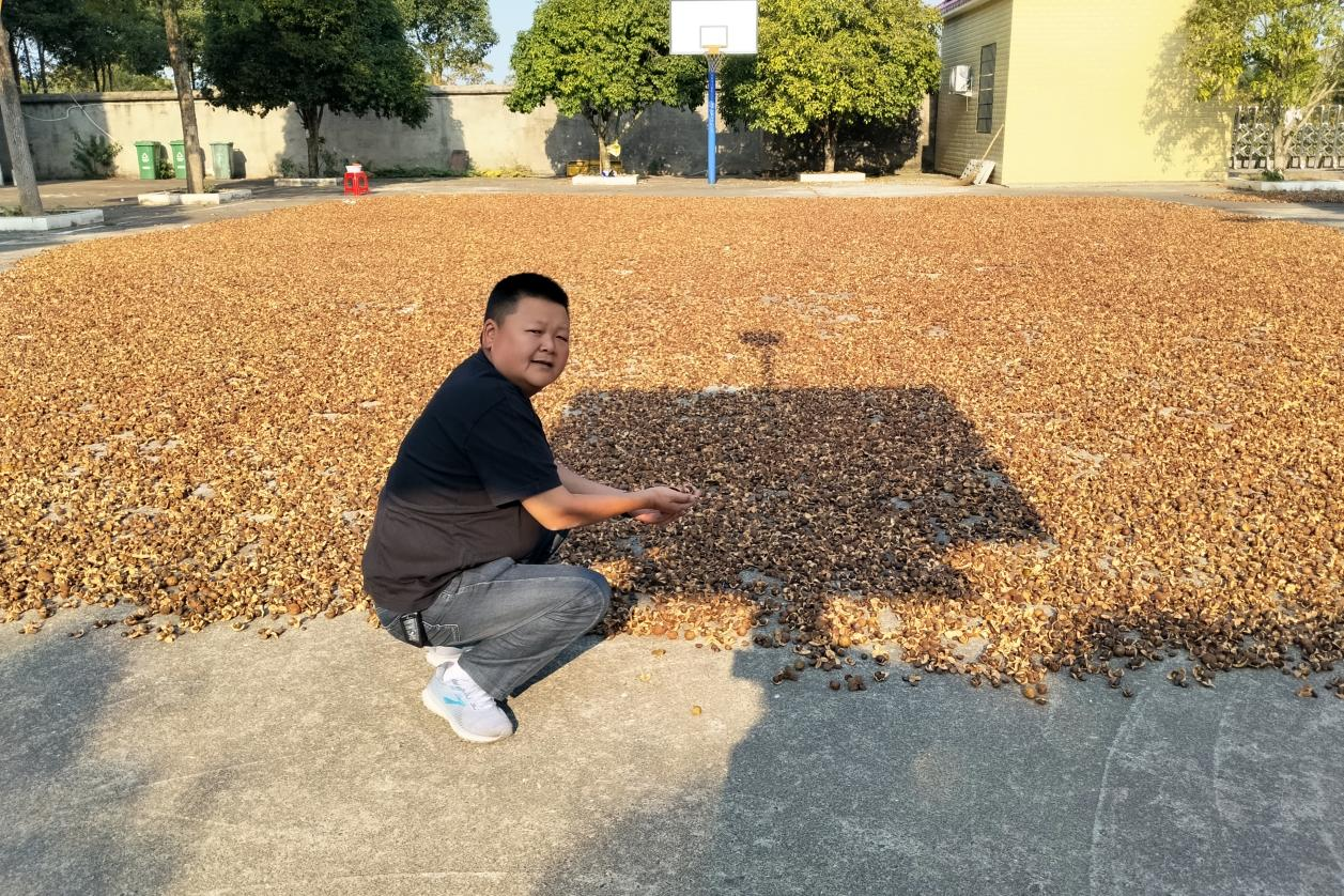 图片4.png
