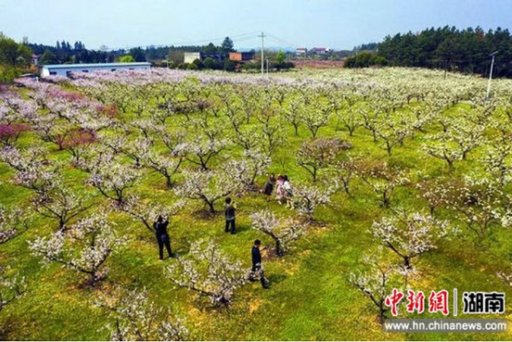 微信截图_20250326171521.png